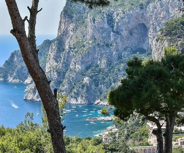 Lia Κάπρι